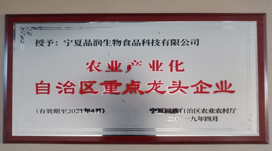 2019年重點(diǎn)龍頭企業(yè)