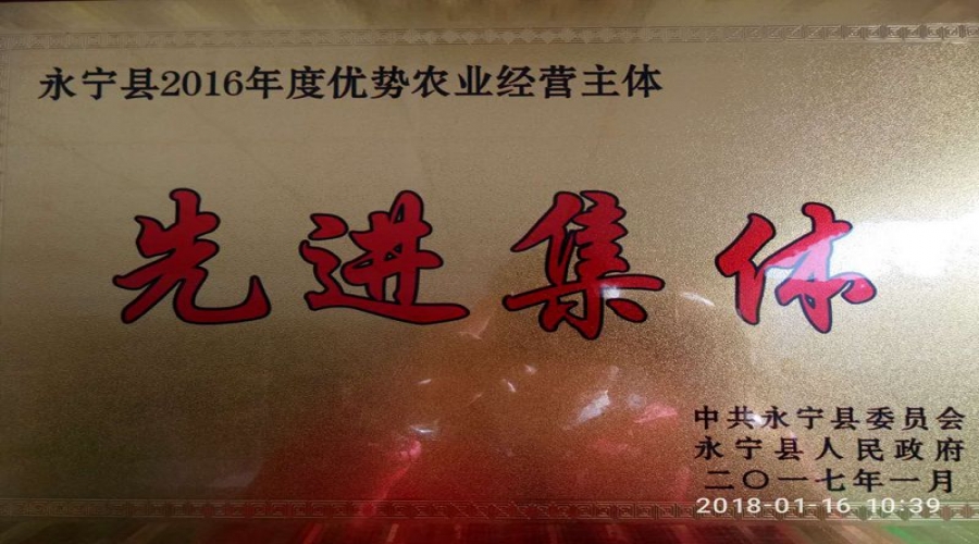 2017年1月先進(jìn)集體